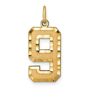 14k Yellow Gold, Varsity Collection, Large D/C Pendant Number 9